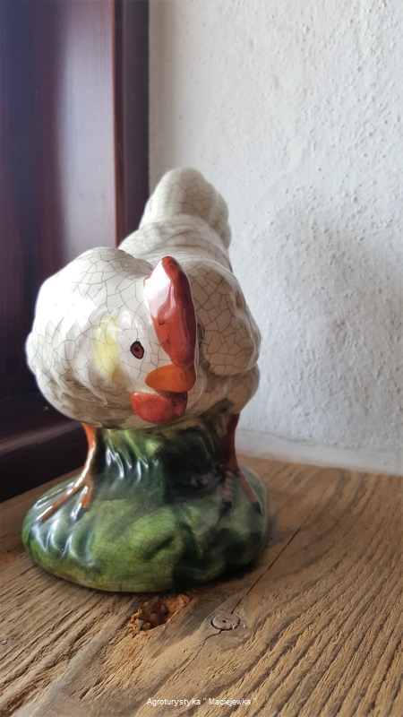 Ciekawostki
